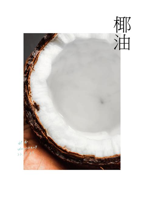 迷你椰子 種植|椰說｜栽種 – YEETREE COCONU